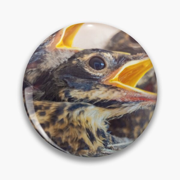 Item preview, Mom, we're hungry! designed and sold by John Velocci.