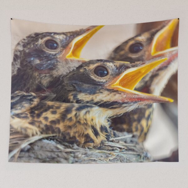 Item preview, Mom, we're hungry! designed and sold by John Velocci.
