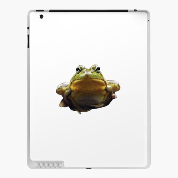Sitting Pretty iPad Skin