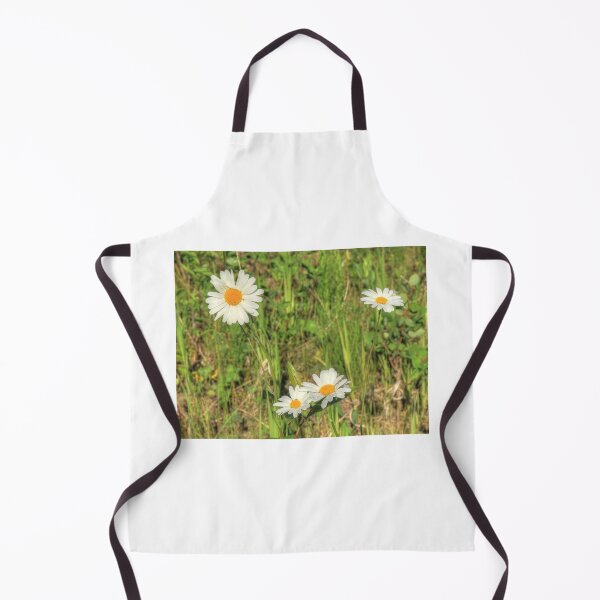 Item preview, Wild Daisies designed and sold by Jim Sauchyn.