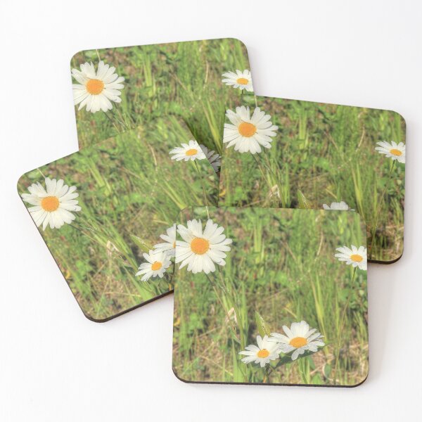 Item preview, Wild Daisies designed and sold by Jim Sauchyn.