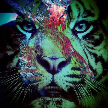 Artwork thumbnail, Tiger_8616 by AnkhaDesh