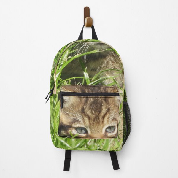 Item preview, A Gorgeous Scottish Wildcat Kitten designed and sold by Karen Thomson.