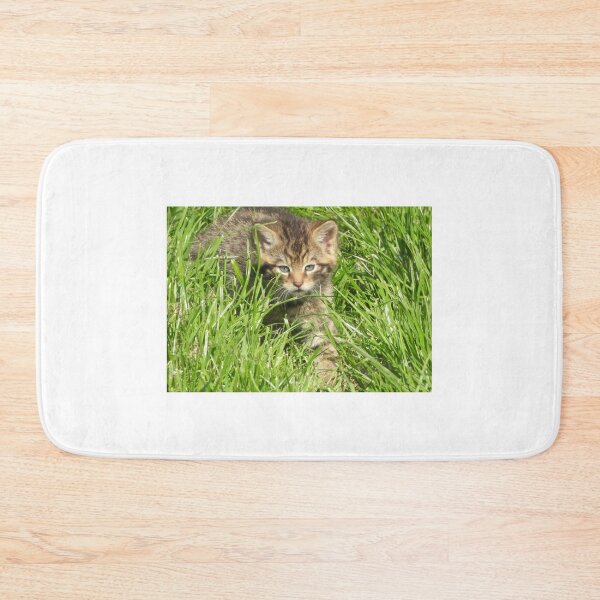 Item preview, A Gorgeous Scottish Wildcat Kitten designed and sold by Karen Thomson.