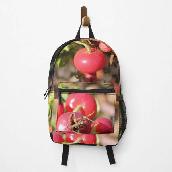 Item preview, Rose hips designed and sold by pinkal.