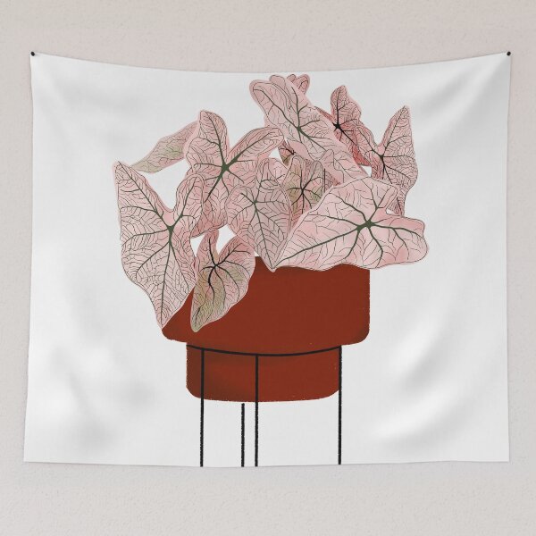 Item preview, Pink Caladium, potted plant illustration designed and sold by Ana Moguš.