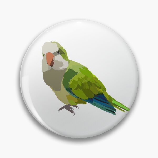 Item preview, Quaker Parrot designed and sold by scarlet-begonia.