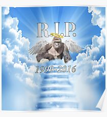 RIP Harambe Poster