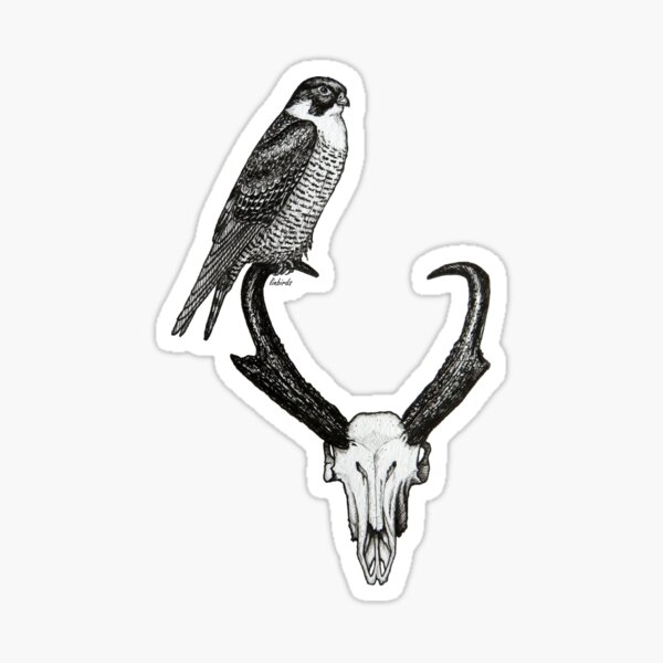 Item preview, Peregrine Falcon with Pronghorn Skull - Original Bird and Skull Ink Illustration designed and sold by linbirds.