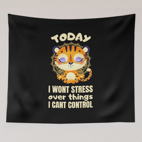 Item preview, Today i wont stress over things i cant control designed and sold by FurioInc.