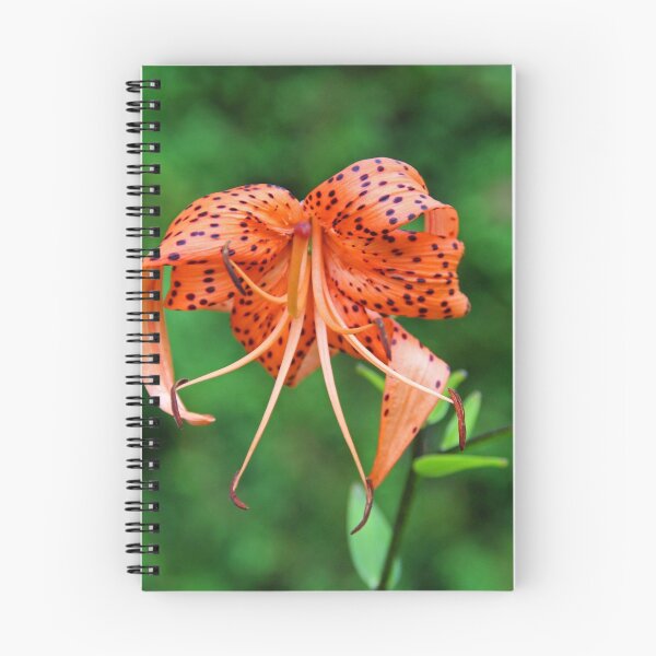 Item preview, Brutally Beautiful designed and sold by Michiale.