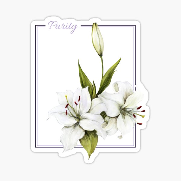 Sticker « Fleur de lys blanc, Pureté », par HannaBenedy | Redbubble