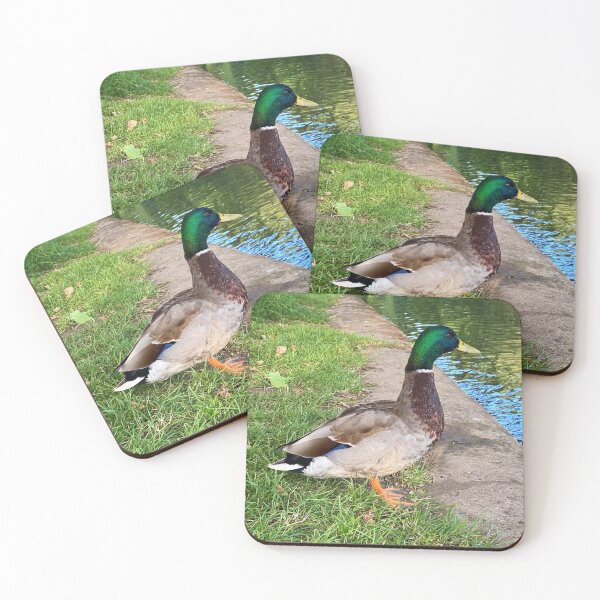 Item preview, Duck  designed and sold by Superpol44.