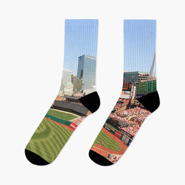 Item preview, St, Louis baseball stadium, St. Louis skyline, St Louis Arch, ball field, panaramic view of St Louis, redbirds,  designed and sold by Nostrathomas66.