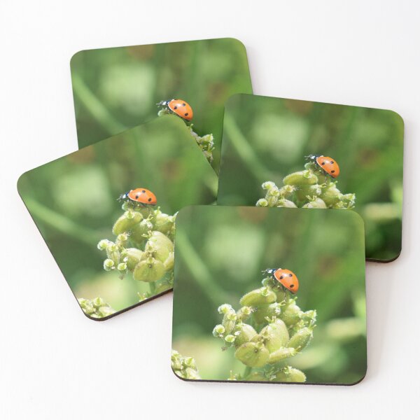 Item preview, Mariquita designed and sold by Superpol44.