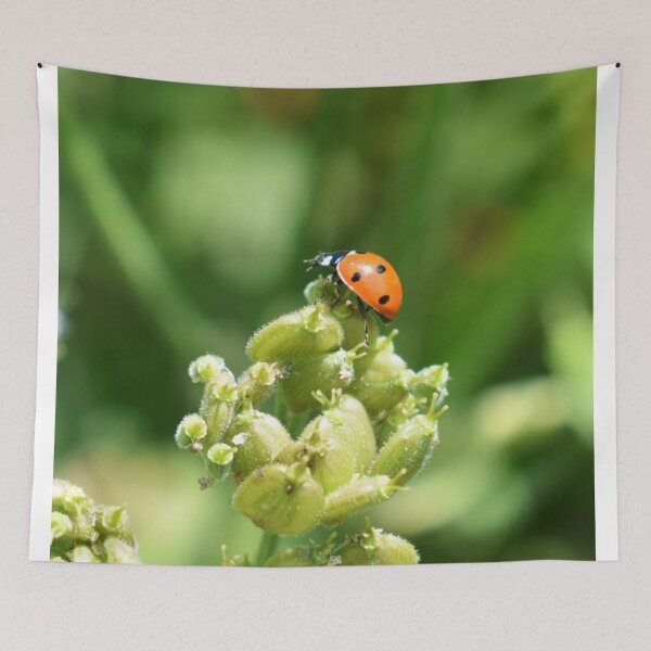 Item preview, Mariquita designed and sold by Superpol44.