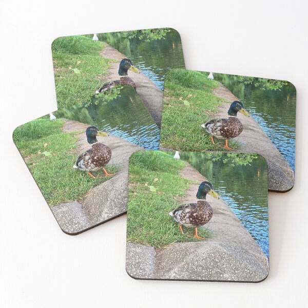 Item preview, Duck  designed and sold by Superpol44.