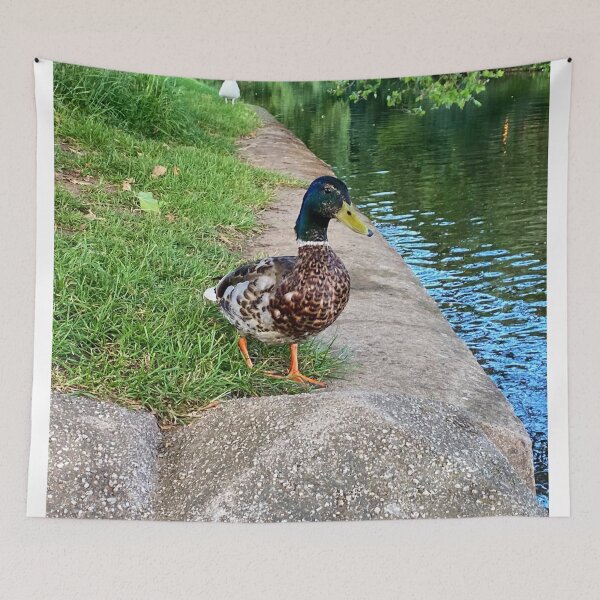 Item preview, Duck  designed and sold by Superpol44.
