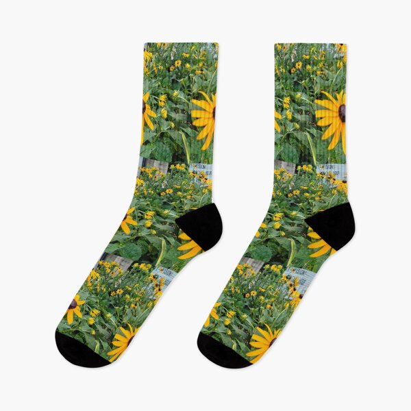 Item preview, Black Eyed Susans designed and sold by TeaFairy Art.