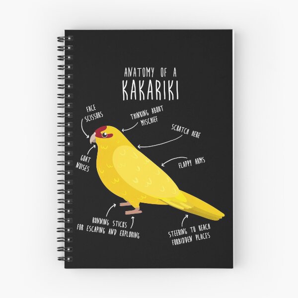 Item preview, Lutino Kakariki Anatomy designed and sold by Clara Hollins.