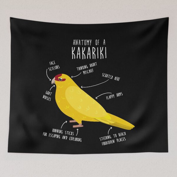 Item preview, Lutino Kakariki Anatomy designed and sold by Clara Hollins.