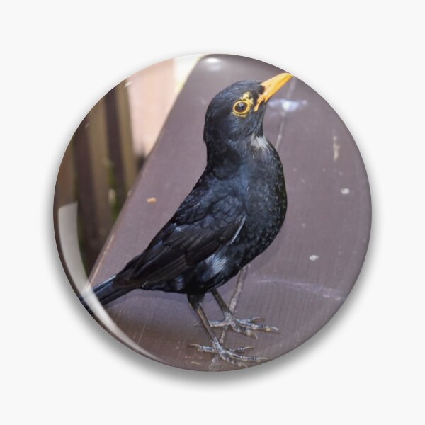 Item preview, Blackbird designed and sold by Superpol44.