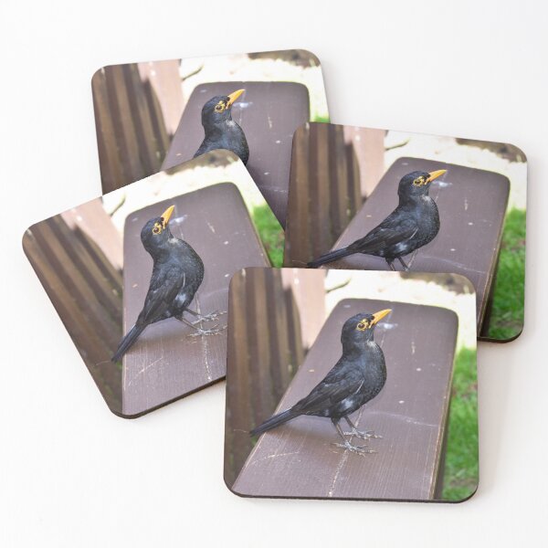Item preview, Blackbird designed and sold by Superpol44.