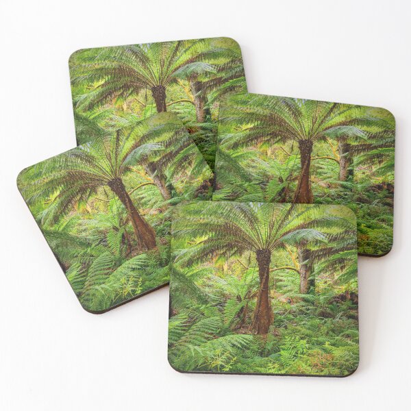 Item preview, Otways Rainforest near Hopetoun Falls designed and sold by Ricjacyno.