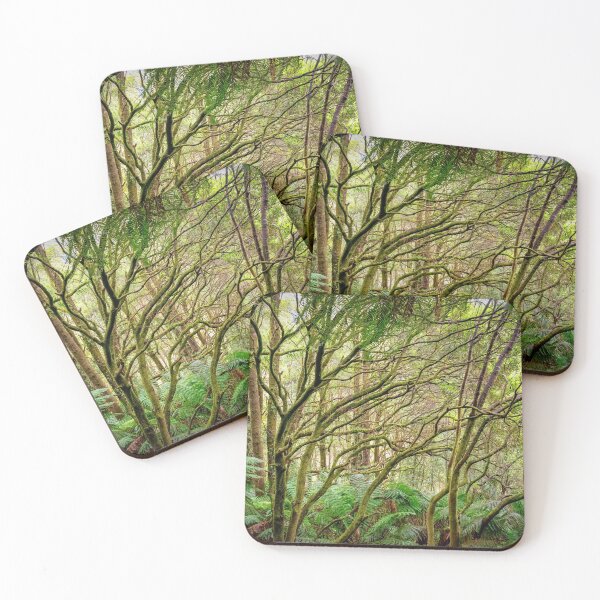 Item preview, Otways Rainforest near Hopetoun Falls designed and sold by Ricjacyno.