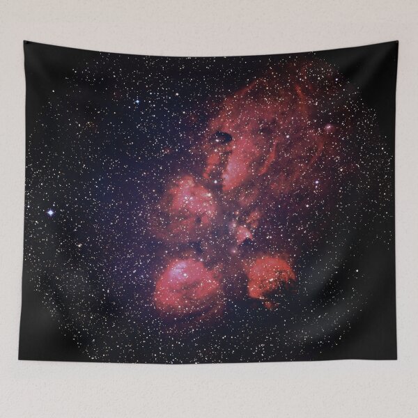 Item preview, Ruby Rose Nebula, Red Milky way, Aesthetic cosmos, shiny galaxy, starry dark tapestry, trendy home decor art, wall designed and sold by August-E.