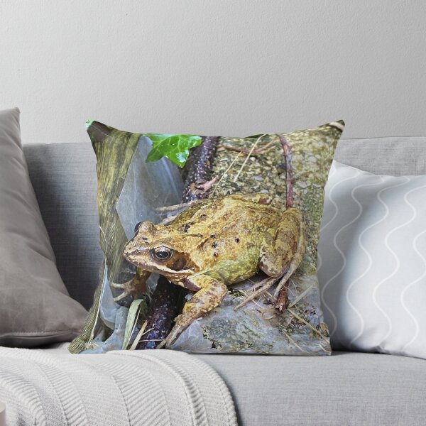 Item preview, Frog designed and sold by Superpol44.