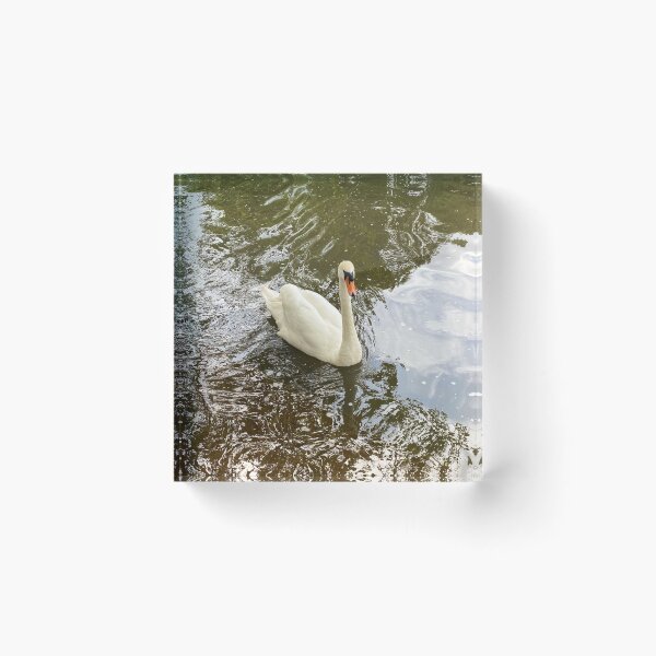 Item preview, Swan designed and sold by Superpol44.