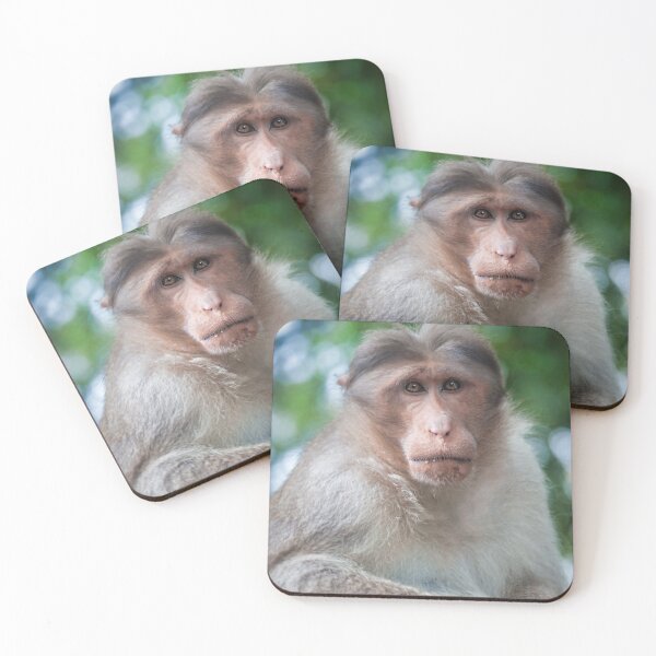 Item preview, Macaca Radiata or Bonnet Macaque designed and sold by photograham.