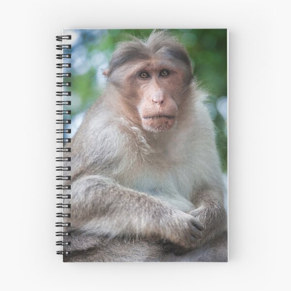 Item preview, Macaca Radiata or Bonnet Macaque designed and sold by photograham.