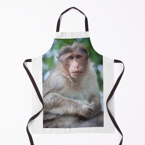 Item preview, Macaca Radiata or Bonnet Macaque designed and sold by photograham.