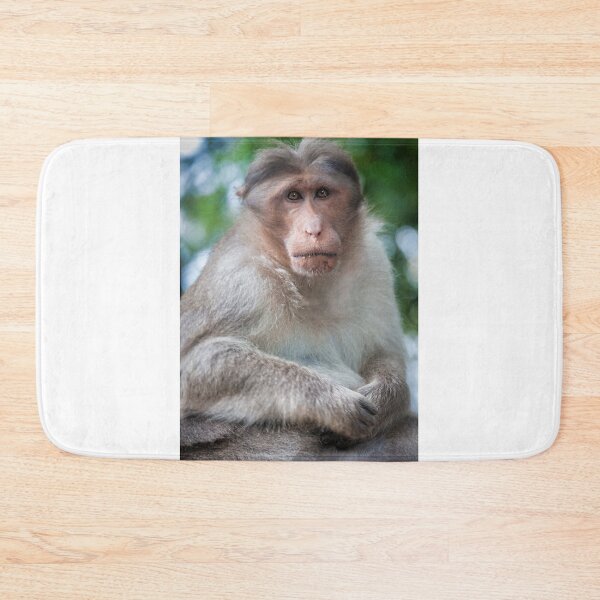 Item preview, Macaca Radiata or Bonnet Macaque designed and sold by photograham.