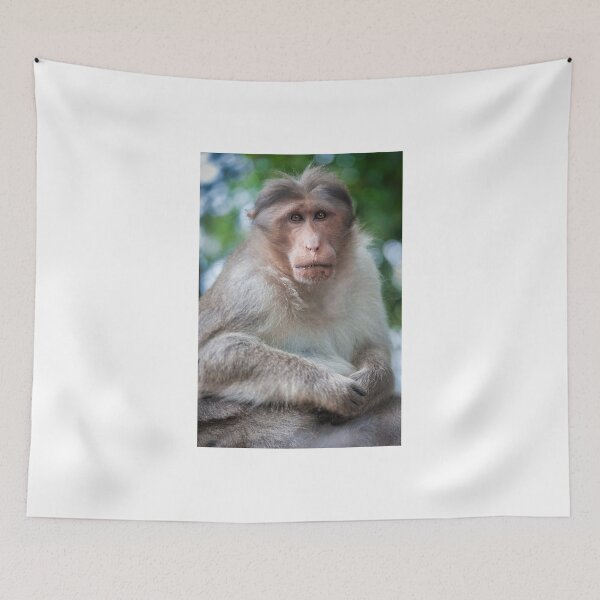 Item preview, Macaca Radiata or Bonnet Macaque designed and sold by photograham.