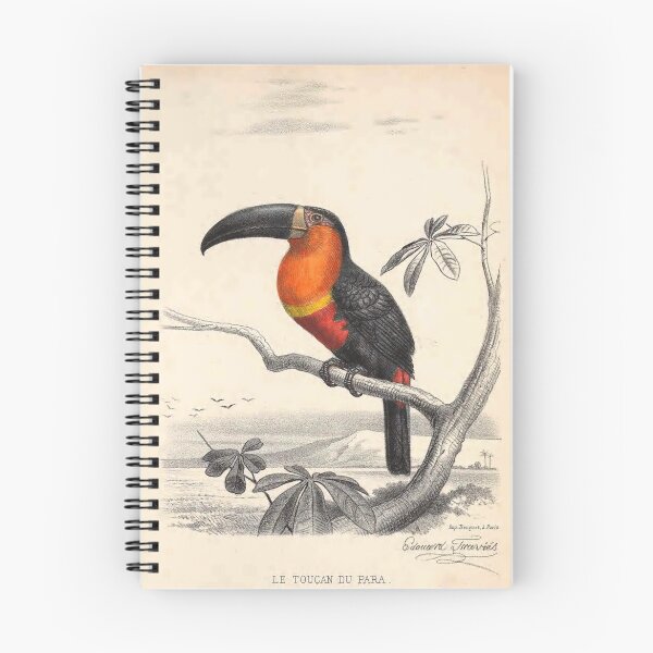 Item preview, Ariel Toucan designed and sold by Public.