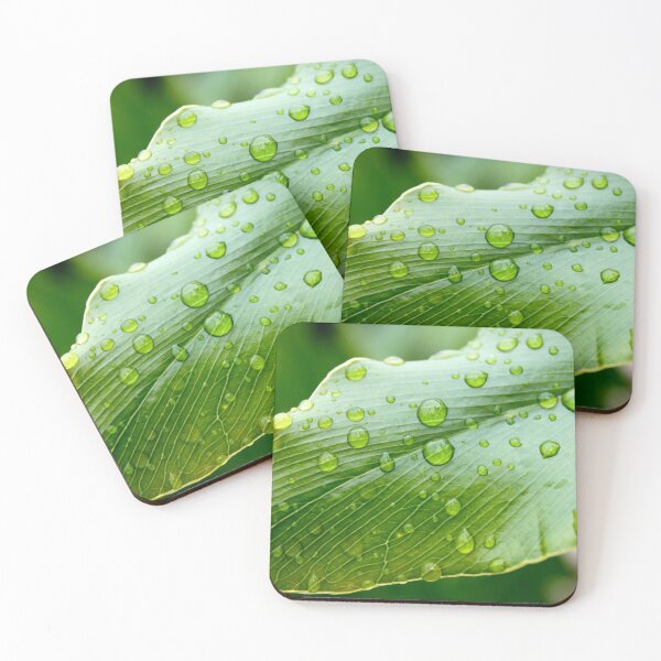 Item preview, Dew drops on Leaf  designed and sold by BenClarkImagery.