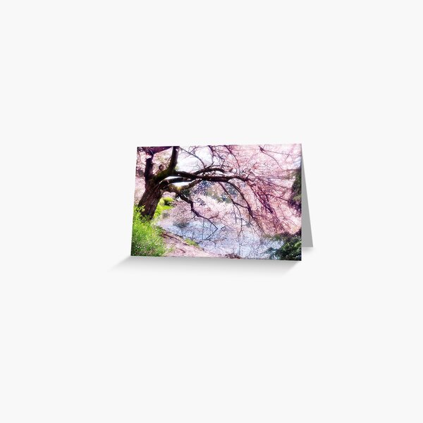 Item preview, Blossoming cherry tree touching water art photo print designed and sold by MaximImages .com Exquisite Arts.