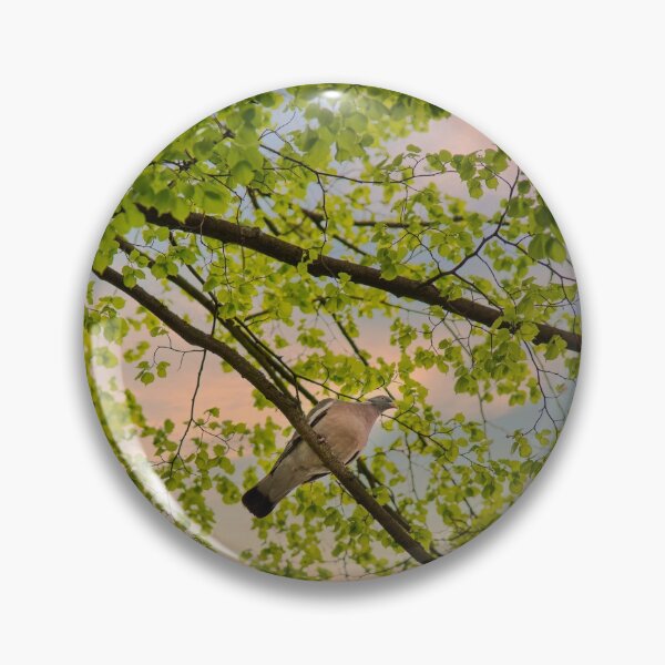 Item preview, Pigeon at the Malbork castle grounds designed and sold by Ricjacyno.