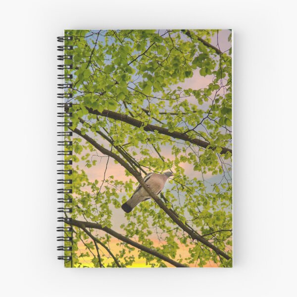 Item preview, Pigeon at the Malbork castle grounds designed and sold by Ricjacyno.