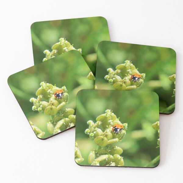 Item preview, Ladybird  designed and sold by Superpol44.