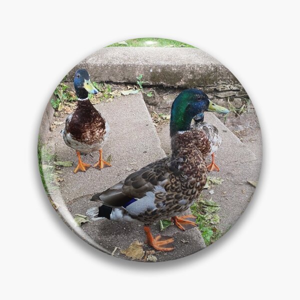 Item preview, British ducks  designed and sold by Superpol44.