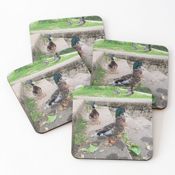 Item preview, British ducks  designed and sold by Superpol44.