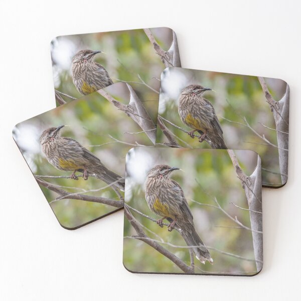 Item preview, Red wattlebird at Newport lake designed and sold by Ricjacyno.