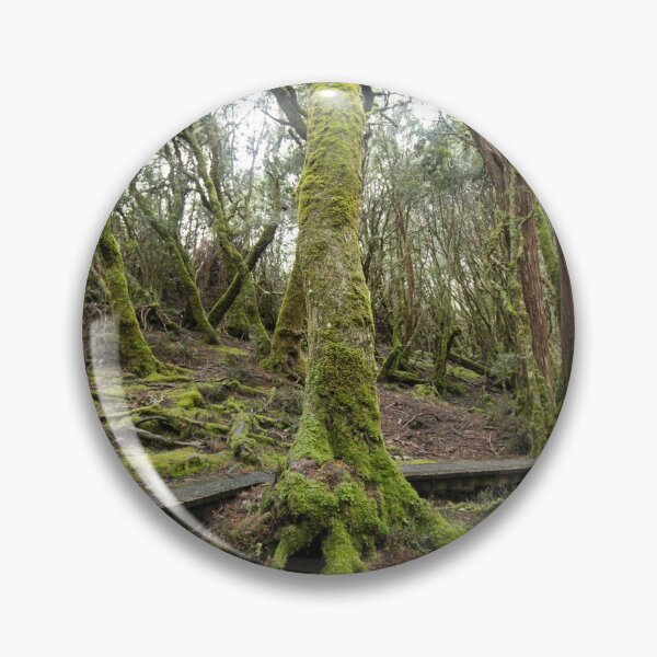 Item preview, MAGICAL FOREST WALK designed and sold by BenClarkImagery.