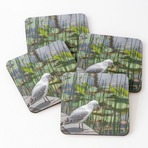 Item preview, Silver Gull (Chroicocephalus novaehollandiae) designed and sold by Ricjacyno.