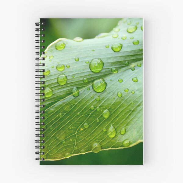 Item preview, Dew drops on Leaf  designed and sold by BenClarkImagery.