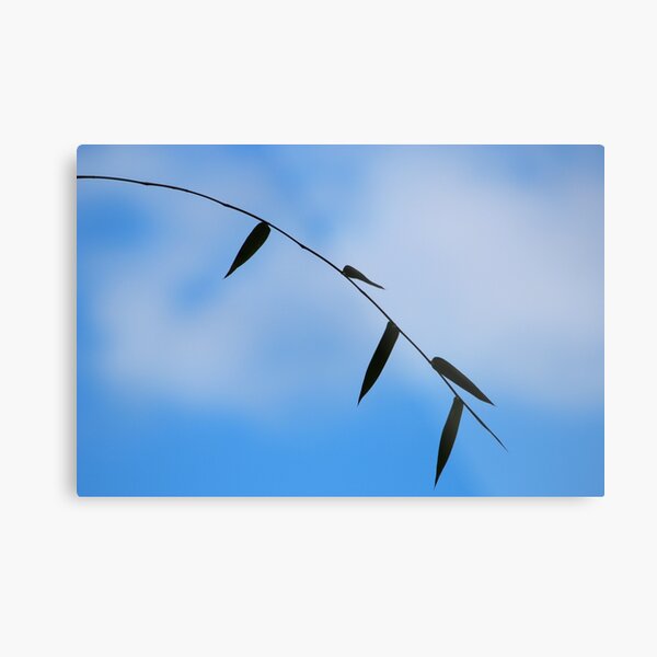 Simplicity so complicated Metal Print